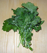 1000 Broccoli Raab Seeds (Rabe Rapini) Flowering Brassica - $7.99