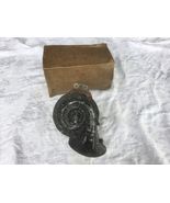 1937 38 39 40 41 42 43 44 45 46 47 Hudson Horn 1937 38 Hudson Terraplane... - €6,88 EUR