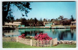 Weeki Wachee Florida Postcard Worlds Original Underwater Show Chrome Unused - £10.09 GBP