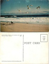 Maine Old Orchard Beach Low Flying Gulls &amp; Breaking Surf Vintage Postcard - £5.99 GBP
