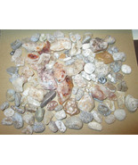 2 lb JUMBO Mixed Polished Rocks Tumbled Stones Gemstone Lot Healing and ... - £11.87 GBP