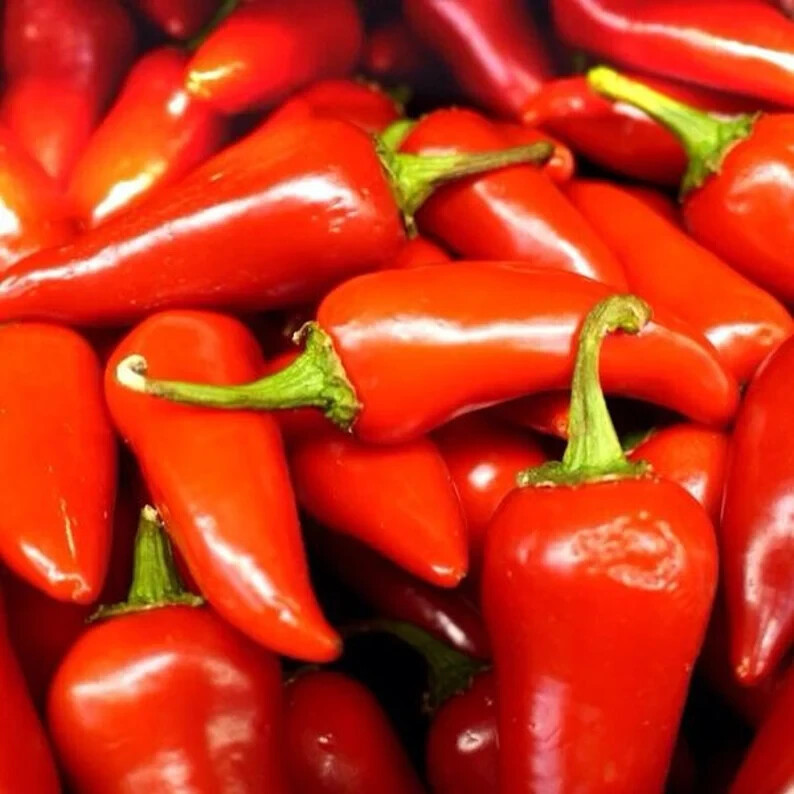 50+ Fresno Chili Hot Pepper Seeds Vegetable Garden NON-GMO Free Shipping... - $2.49
