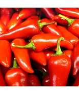 50+ Fresno Chili Hot Pepper Seeds Vegetable Garden NON-GMO Free Shipping... - $47.19 MXN
