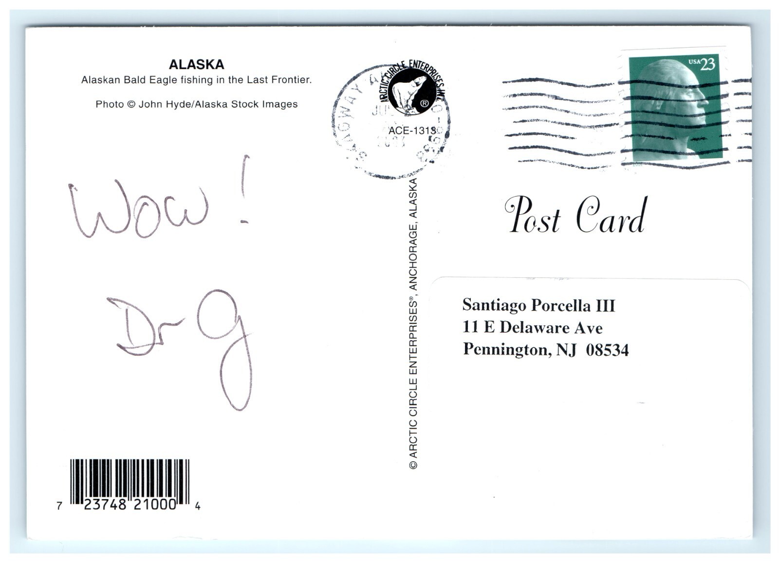 Bald Eagle Last Frontier AK Postcard Item image 2