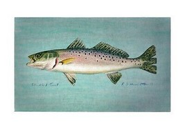 Betsy Drake Speckled Trout 30 Inch By 50 Inch Comfort Floor Mat - £71.05 GBP