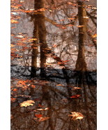 Homage To MC Escher,, Mont Royal, Canada, 12x18 Photograph - $272.73 CAD