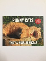 Punny Cats That&#39;s Hiss-Terical! The Meme-ing Of Life Paperback Scholastic Book - £4.33 GBP