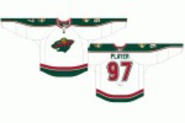 gp Minnesota wild  NHL Hockey Logo Poster Art 12x8in Metal Sign Vintage - $24.74