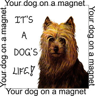 Primary image for Dog magnet - quote, custom photo, your dog, personalized
