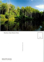 Michigan Mackinaw City State Historic Park Mill Creek Pond Forest VTG Postcard - £7.39 GBP