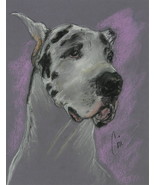 Great Dane Pastel Drawing Dog Art Framed and Matted Solomon - Bodhi&#39;s My... - £194.67 GBP