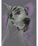 Great Dane Pastel Drawing Dog Art Framed and Matted Solomon - Bodhi&#39;s My... - $340.50 CAD