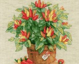 Riolis Counted Cross Stitch Pepper Pot, Multicoloured - $19.05