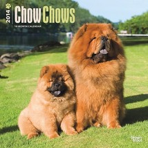 Chow Chows 2014 Wall Calendar - £4.73 GBP