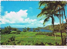 Postcard Keanae Peninsula On The Hana Road Maui Hawaii - £2.37 GBP