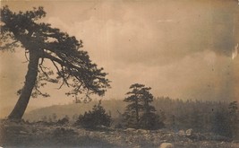 Cisco California~View Of Lone Pine~1910s Real Photo Postcard - £7.91 GBP