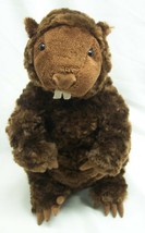 Kohl&#39;s Gund Soft Brown Beaver Groundhog Or Woodchuck 10&quot; Plush Stuffed Animal - £14.33 GBP