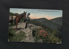 Vintage Postcard 1918 Craggy Mountain Asheville NC Horse Photography Camera - £4.71 GBP