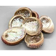 3-4 Abalone Shell incense burner - £4.61 GBP