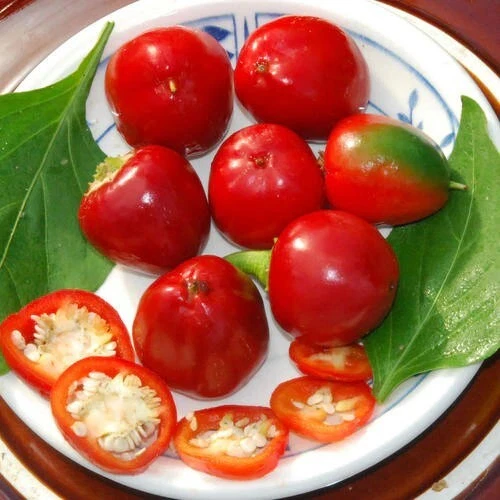 Pepper SWEET RED CHERRY Heirloom Containers Pickling Salads Non-GMO 50 S... - $5.22
