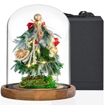 Christmas Preserved Pine Tree In Glass Dome Led Light Jingle Bell Berry Dried Le - £53.04 GBP