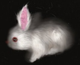 Furry White Bunny Rabbit - £7.17 GBP