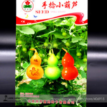 Heirloom Hand Twist Small Ornamental Gourd Original Pack 2 Pack Very - £6.76 GBP