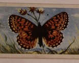 Victorian Trade Card British Butterflies London VTC 3 - $4.94