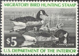 RW43, Canada Geese Duck Stamp Vf Og Nh - Low Price! - £5.99 GBP