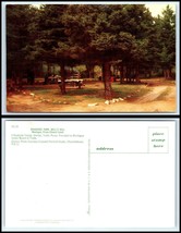 CANADA Postcard - Prince Edward Island, Montague, Bell&#39;s Hill Roadside Park FZ9 - £2.36 GBP