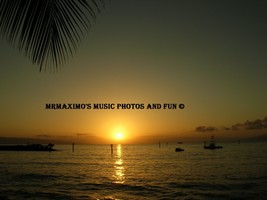 Digital Image Photograph Hanging Palm Kaanapali Hawaii Sun - £0.71 GBP