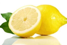 5 Gossamer Lemon Glow Seeds For Garden Planting    Fast Shipping From US - £6.94 GBP