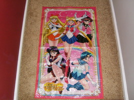 Sailor Moon wall art 23 X 38 - $50.00