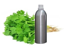 Coriander Essential Oil 100% Pure Natural Therapeutic Aromatherapy 30ml - 500 ml - £17.22 GBP+