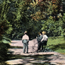 Bronx New York Park Entrance Postcard 1908 Boys Tricycle - £5.27 GBP