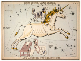 11x14&quot;Decoration CANVAS.Interior design art.Unicorn Astrology horoscope.6291 - £26.11 GBP