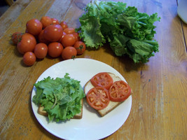 Tomato Arkansas Traveler Heirloom 25 Seeds  - £6.24 GBP