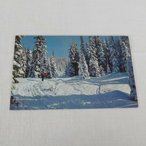 Greetings from Wonderful Wyoming Postcard UNPOSTED Plastichrome 1960s Landscape - £3.93 GBP