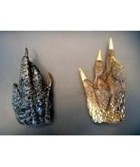 Alligator feet 4 - 5&quot; claws preserved dried unique collectible taxidermy... - $16.00
