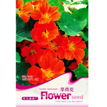 6 Red Nasturtium Shamrock Plant Tropaeolum Majus Garden Beautiful - £4.03 GBP