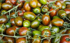 50 Seeds Datterino Tigrato Tomato Tomatoe Vegetable Garden - $7.66