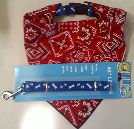 Dog Collar with removeable bandana and 48" Leash - $10.00