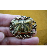 (b-but-101) Butterfly flying pin brass brooch butterflies insect jewelry... - $352.53 MXN