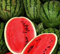 All Sweet Watermelon Seeds 20 Garden Fruit Avg Wt 25-35 Lbs From Us  - $7.00