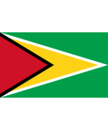 Guyana Flag - 4x6 Inch - $3.99