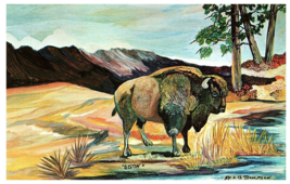 Mouth Artist Painting Repro by Nyla Thompson Bison by the River Postcard - £4.62 GBP