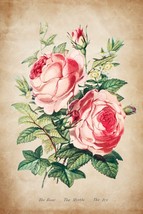13723.Decor Poster print.Room Wall art design.Botanical.Flowers bouquet.Roses - £12.94 GBP+