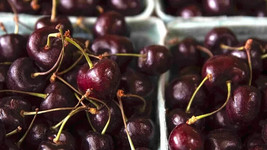 PPA 10+ Van Cherry Seeds For Garden Planting - USA - Fast Shipping! - £3.99 GBP