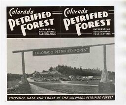 Colorado Petrified Forest Brochure Interesting, Educational Fascinating ... - $17.82