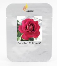 Large Dark Red F1 Rose Flower Seeds, Professional Pack, 50 Seeds / Pack, Strong  - £3.87 GBP